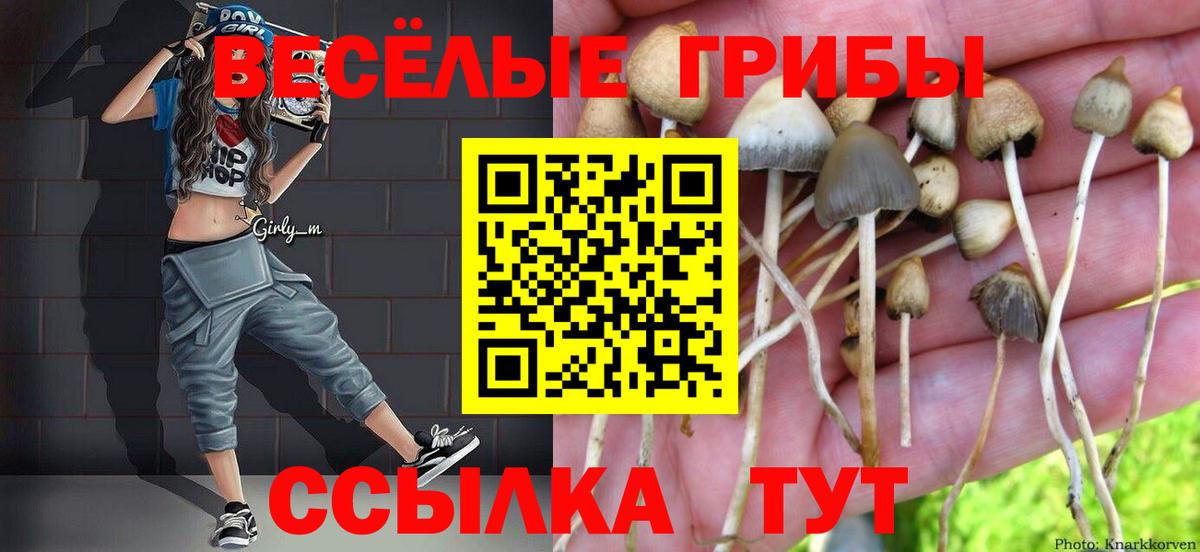Ялта  Псилоцибиновые грибы Cubensis  Вход с VPN  Галлюциногенные грибы Cubensis 